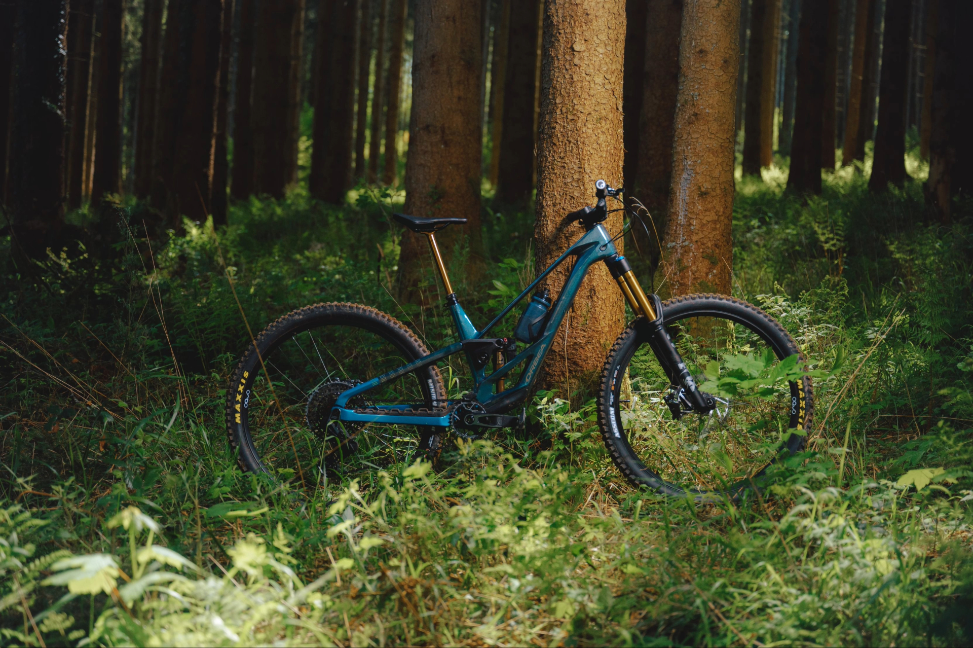 Blaues Mountainbike im Wald, still vor Baum, markante Federung und Reifen